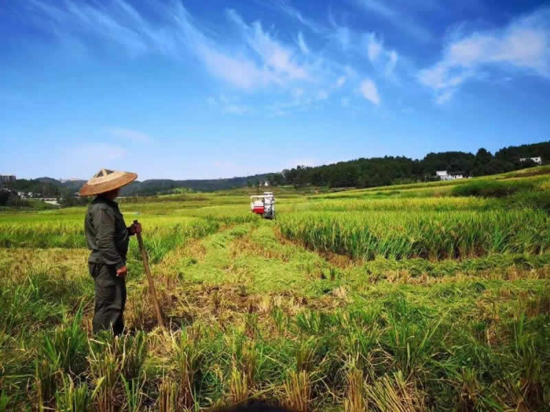 案例风采